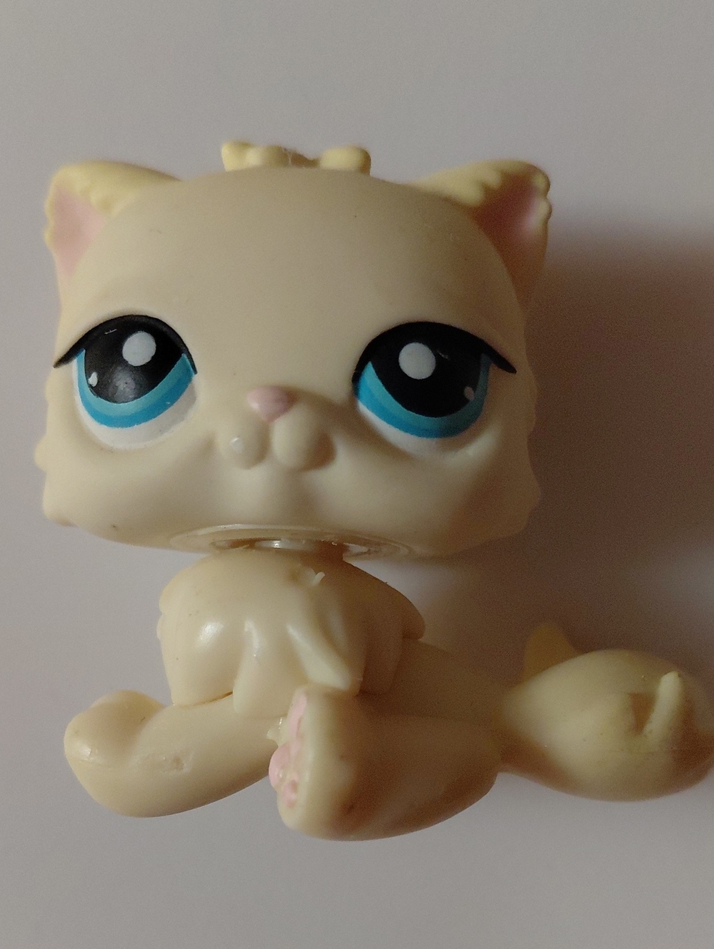 LPS Persian Cat #428 - Littlest Pet Shop Collectible Toy
